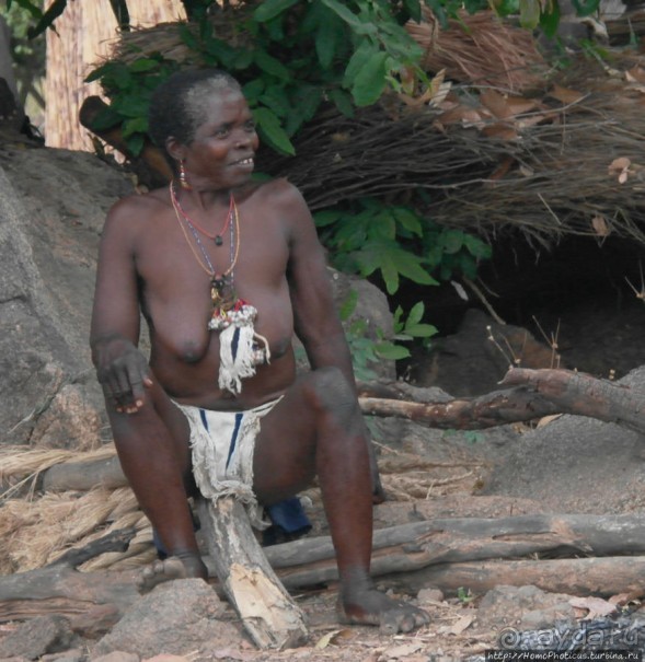 Типажи дупа