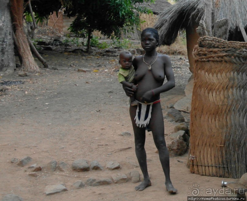 Типажи дупа