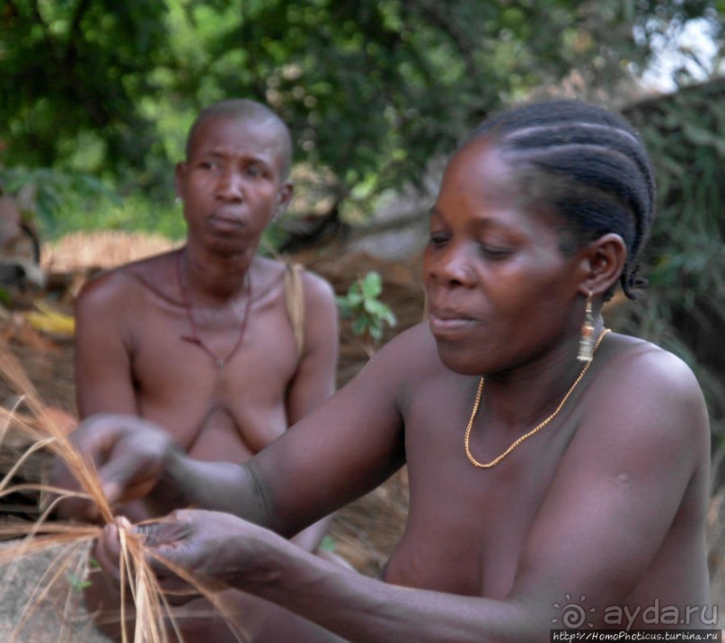Типажи дупа