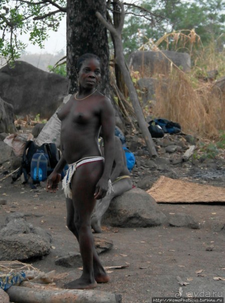 Типажи дупа