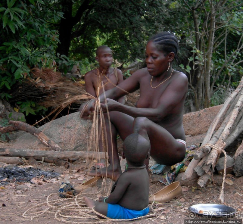 Типажи дупа