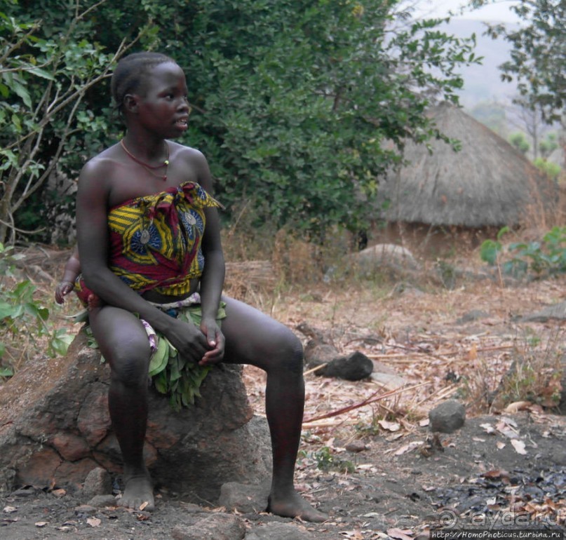 Типажи дупа