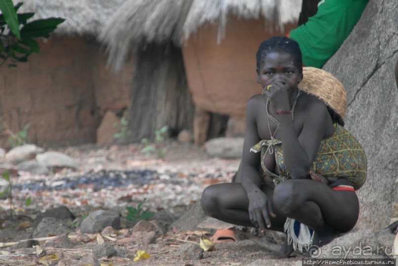 Типажи дупа