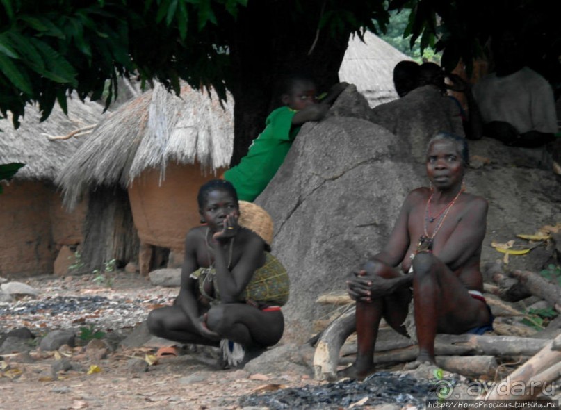 Типажи дупа