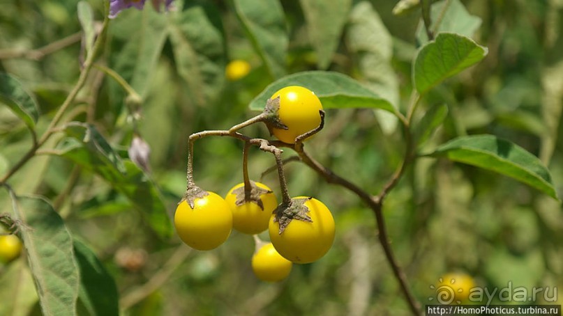 По дороге в Арба-Мынч