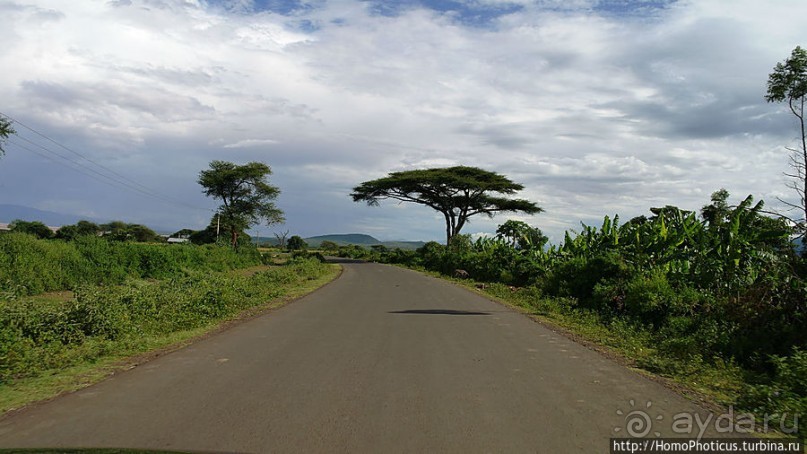 По дороге в Арба-Мынч