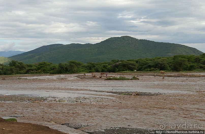 По дороге в Арба-Мынч