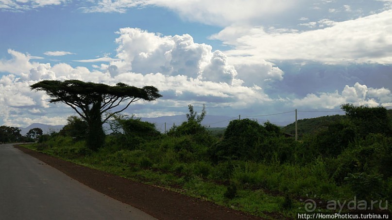 По дороге в Арба-Мынч