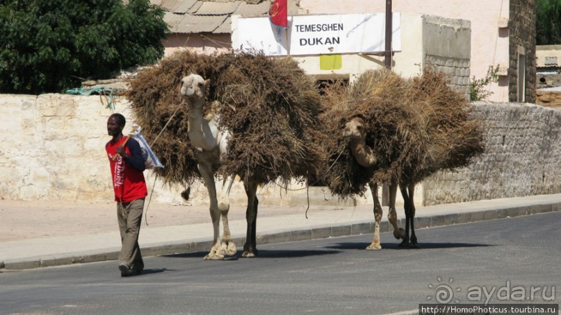 Разведка Эритреи: осторожные шаги