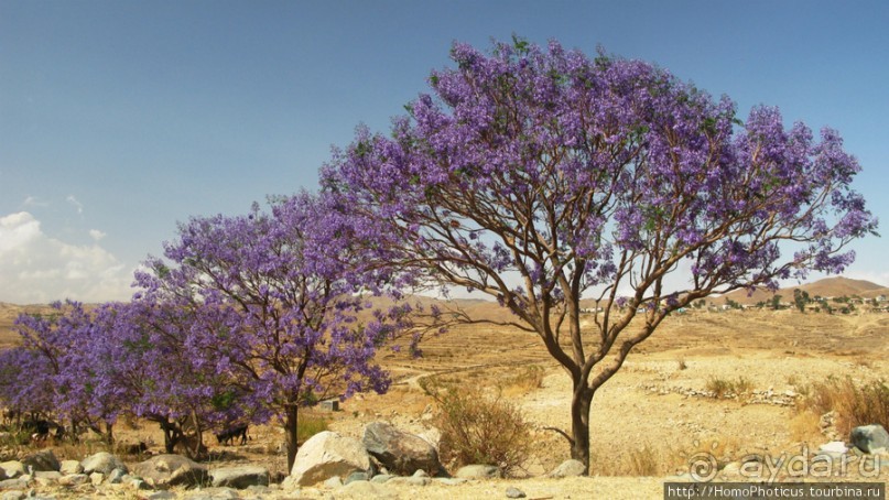 Разведка Эритреи: осторожные шаги
