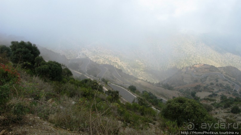 Разведка Эритреи: осторожные шаги