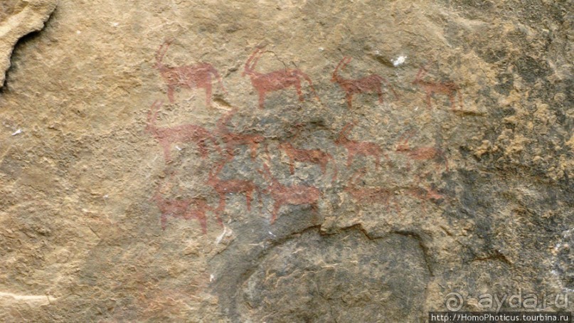 Разведка Эритреи: осторожные шаги