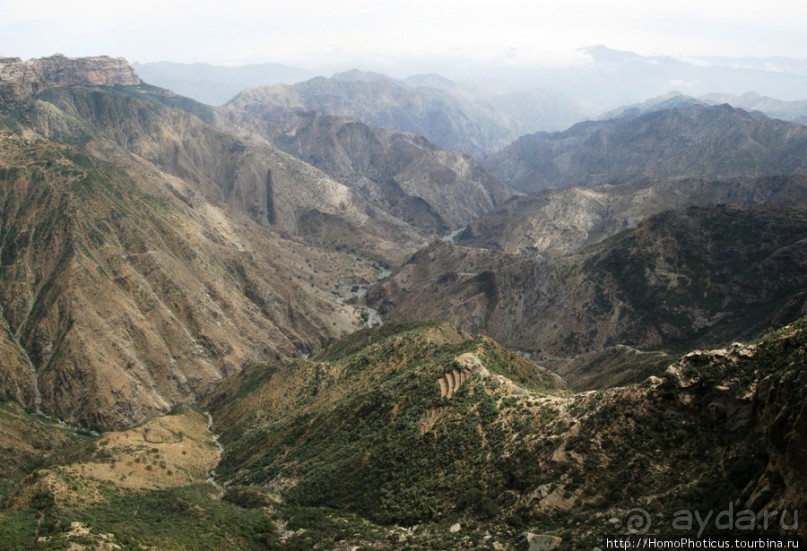 Разведка Эритреи: осторожные шаги