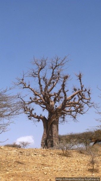 Разведка Эритреи: осторожные шаги