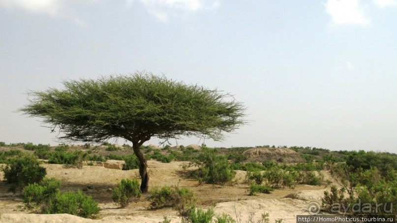 Разведка Эритреи: осторожные шаги