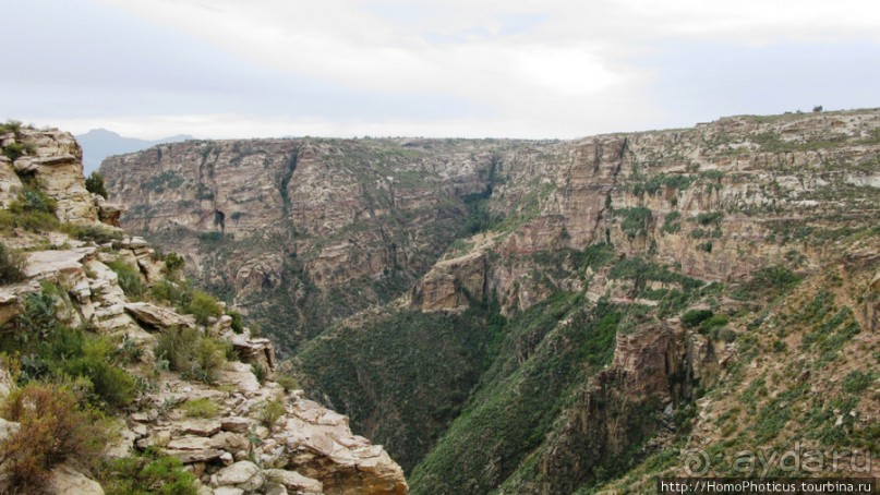 Разведка Эритреи: осторожные шаги