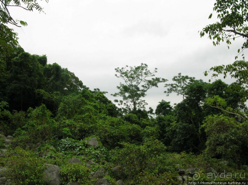 Шакьямуни на горе