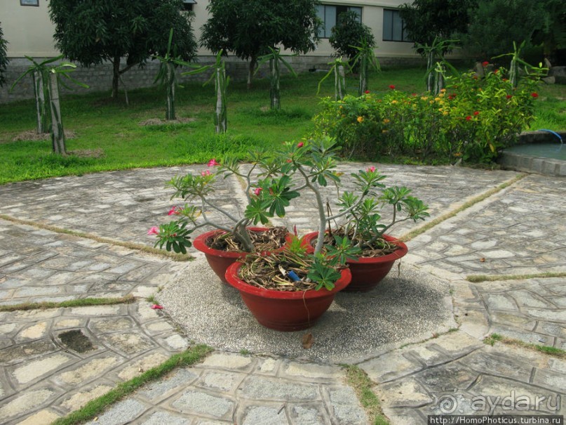 Шакьямуни на горе