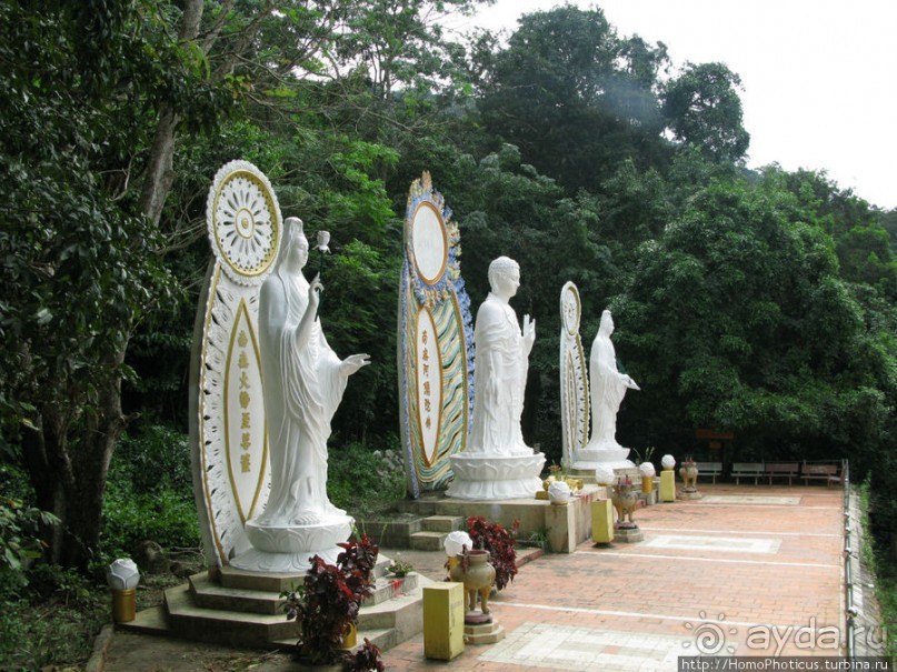 Шакьямуни на горе