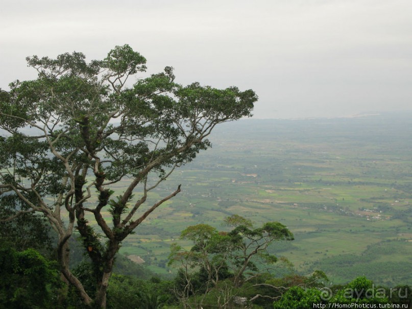 Шакьямуни на горе