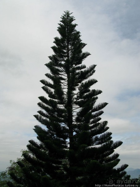 Шакьямуни на горе