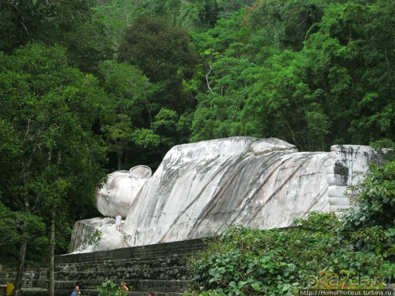 Шакьямуни на горе