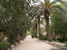 Карфаген должен быть разрушен!