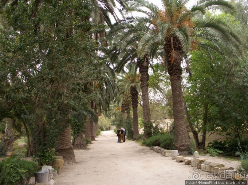 Карфаген должен быть разрушен!