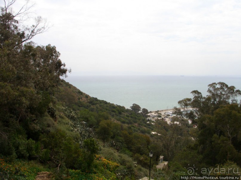 Карфаген должен быть разрушен!