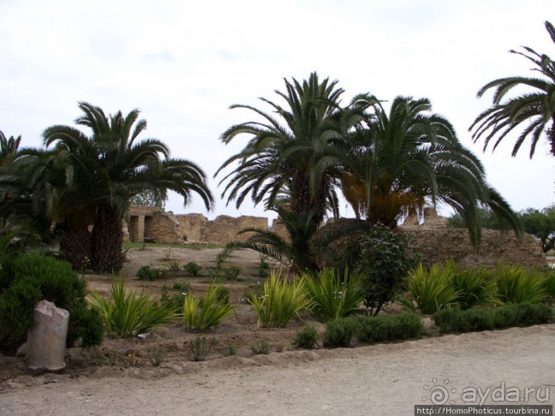 Карфаген должен быть разрушен!