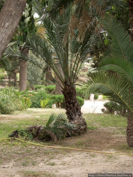 Карфаген должен быть разрушен!