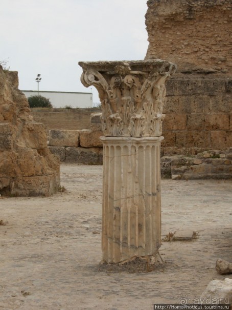 Карфаген должен быть разрушен!