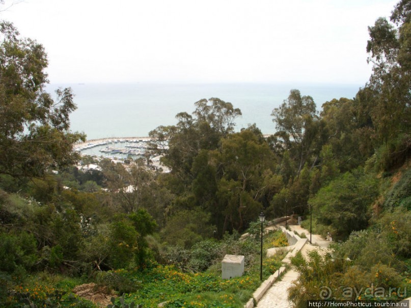 Карфаген должен быть разрушен!