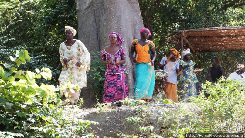 Мангры и термитники