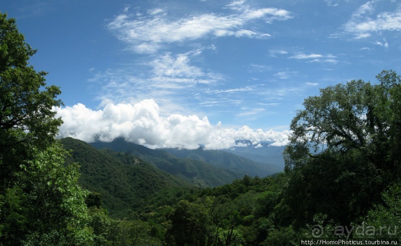 Страна Громового дракона. Часть III. Пунакха:облака и дзонги