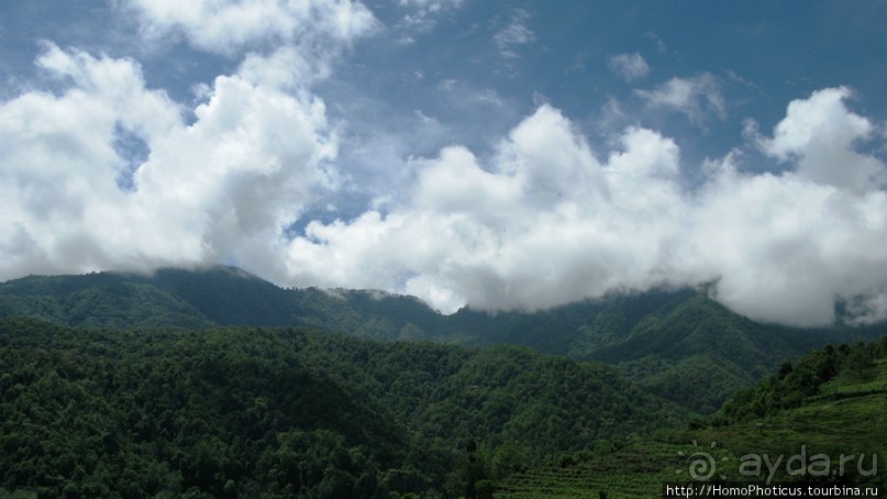 Страна Громового дракона. Часть III. Пунакха:облака и дзонги
