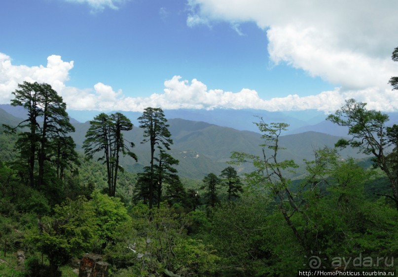 Страна Громового дракона. Часть III. Пунакха:облака и дзонги