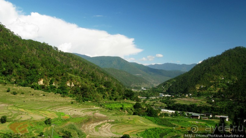 Страна Громового дракона. Часть III. Пунакха:облака и дзонги