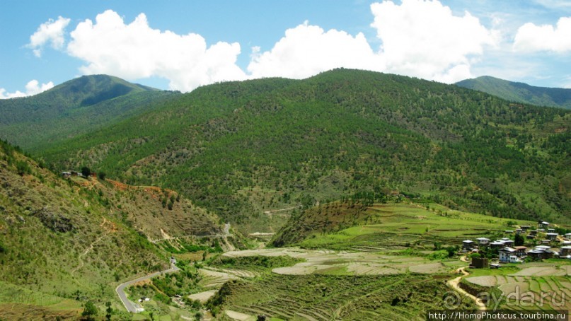 Страна Громового дракона. Часть III. Пунакха:облака и дзонги