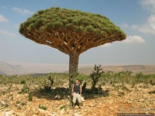 Зонты плато Диксам