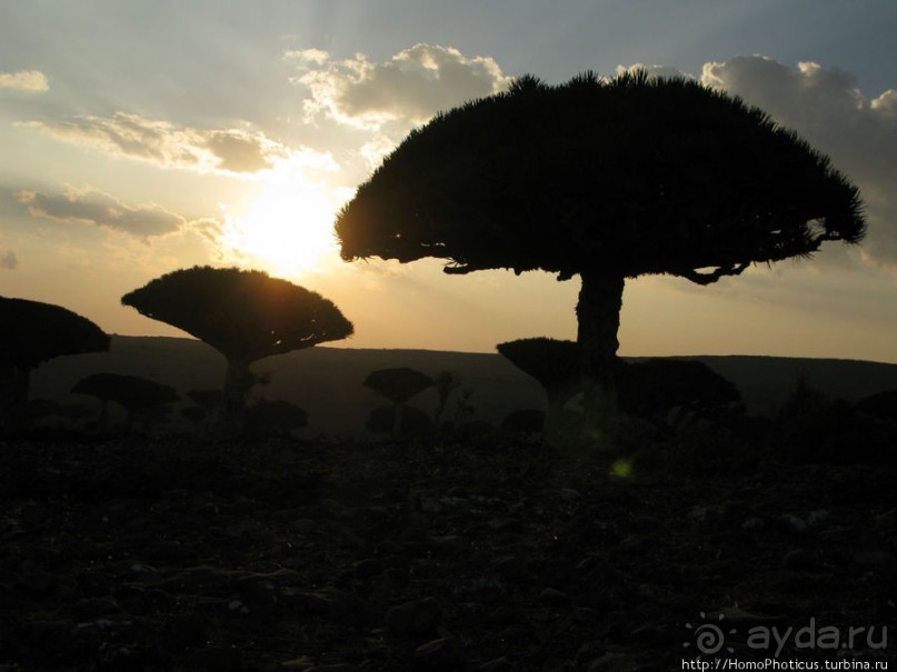 Зонты плато Диксам