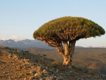 Зонты плато Диксам