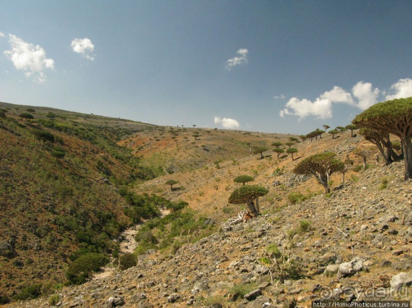 Зонты плато Диксам