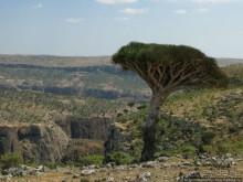 Зонты плато Диксам