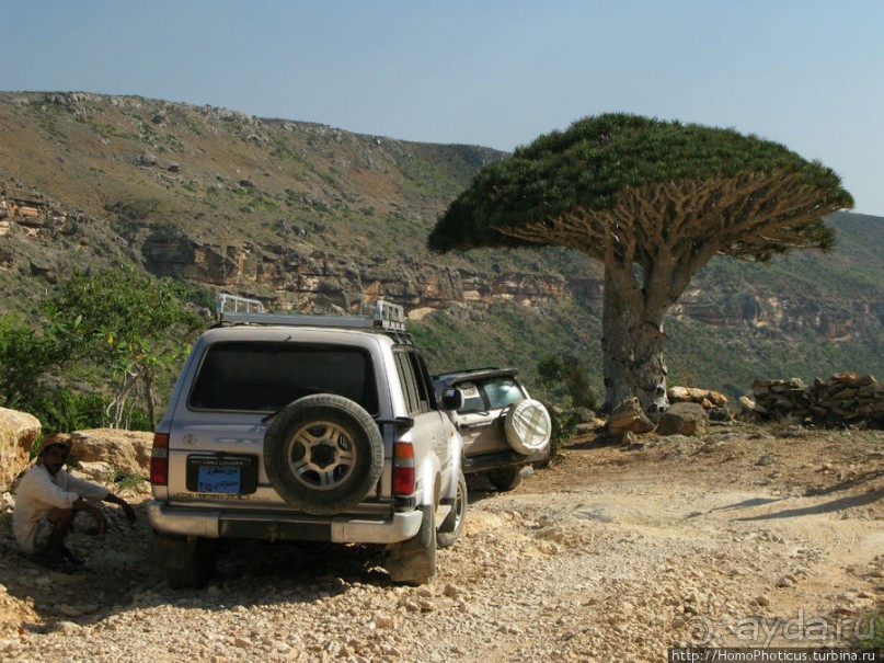 Зонты плато Диксам