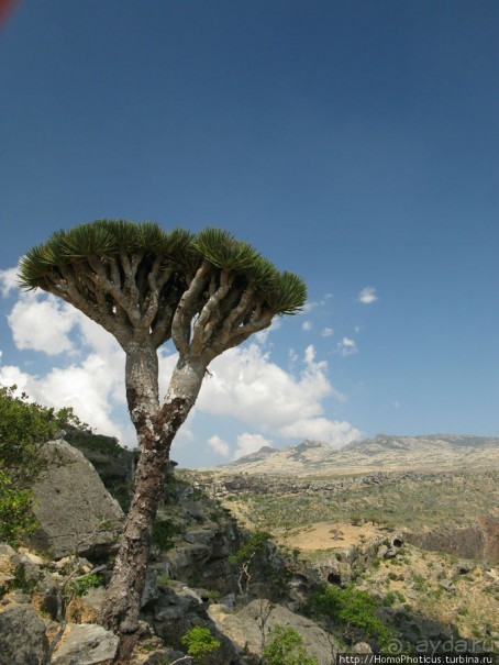 Зонты плато Диксам