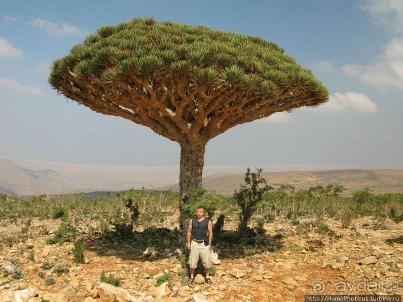 Зонты плато Диксам