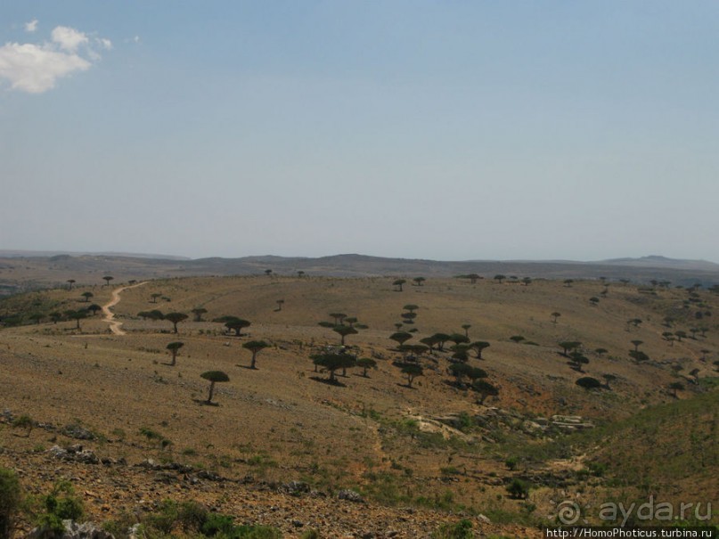 Зонты плато Диксам