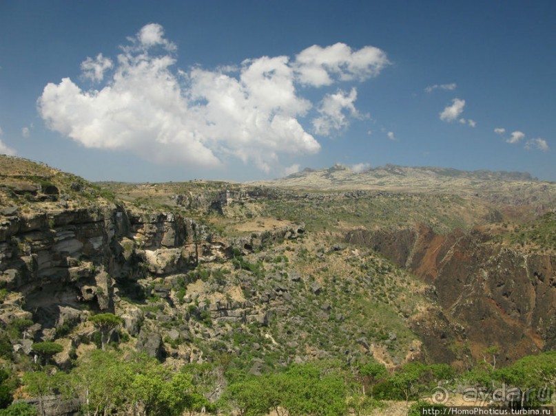 Зонты плато Диксам