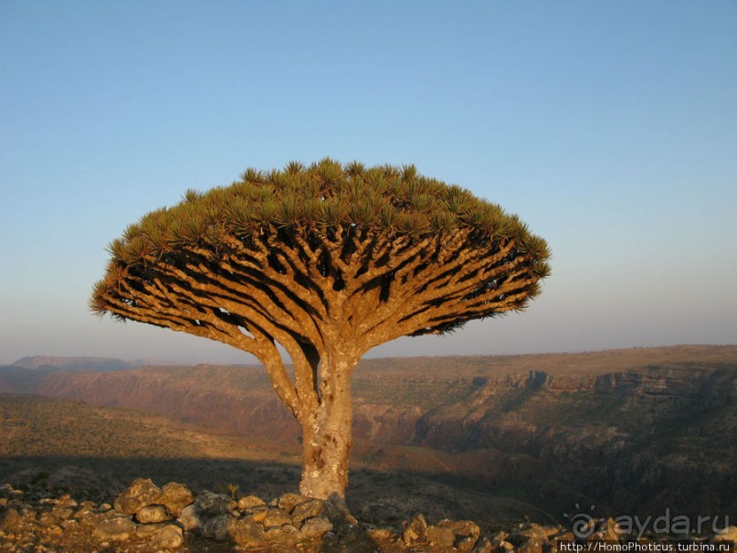 Зонты плато Диксам